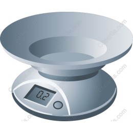 Digital Kitchen Scale