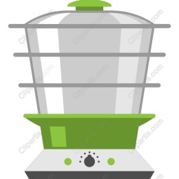 Modern Food Steamer