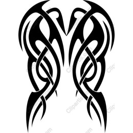 Tribal Fusion