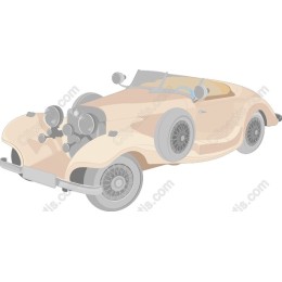Vintage Convertible Car