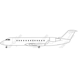 Elegant Private Jet