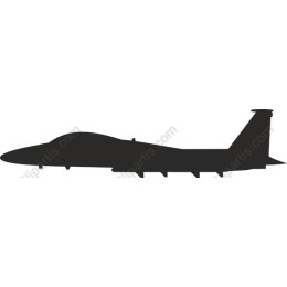 Fighter Jet