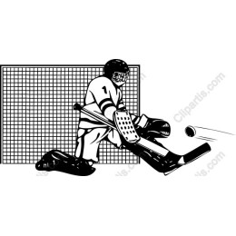 Dynamic Hockey Goalie