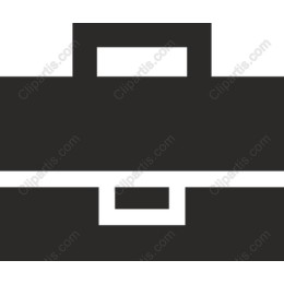 Professional Briefcase