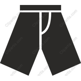 Modern Minimalist Shorts