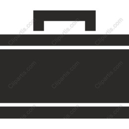 Professional Briefcase work
