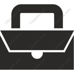 Professional Briefcase