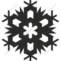 Elegant Winter Snowflake