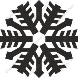 Snowflake - Winter Elegance