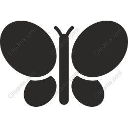 Elegant Butterfly