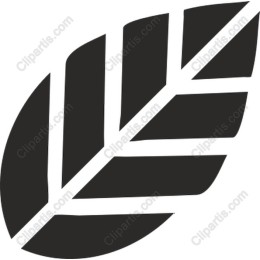 Sleek Leaf