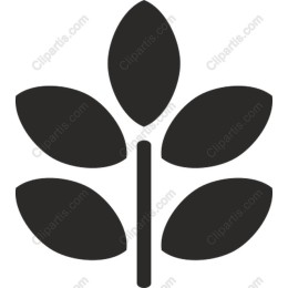 Elegant Leaf