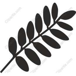 Elegant Fern Leaf