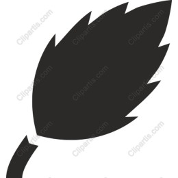 Elegant Leaf
