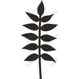 Black Leaf