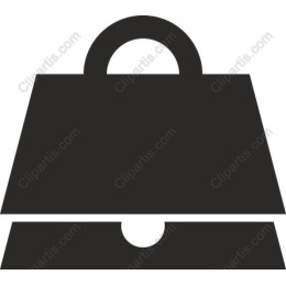 Sleek Minimalist Bag