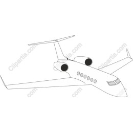 Elegant Private Jet