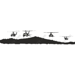 Military Helicopters Action