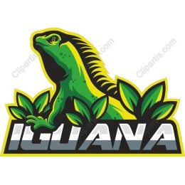 Vibrant Iguana