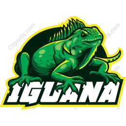 Iguana
