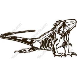 Iguana - Majestic Reptile