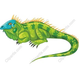 Vibrant Lizard