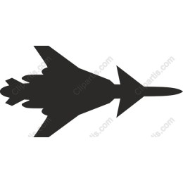 Fighter Jet