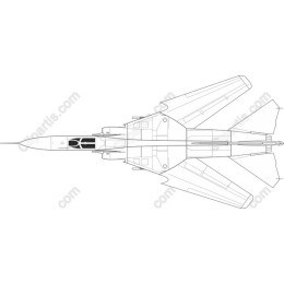 Premium Fighter Jet