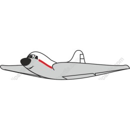 Charming Airplane