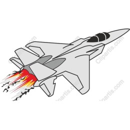 Fighter Jet