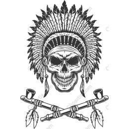 Skull with Traditional Native American Headdress
