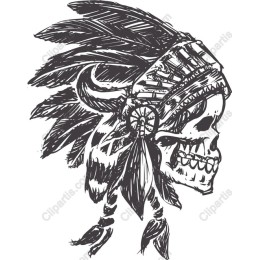 Native American Skull