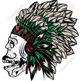 Majestic Skull with Native American Headdress