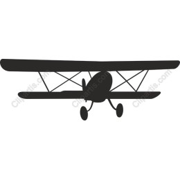 Vintage Biplane