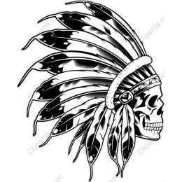 Skull with Feather Headdress