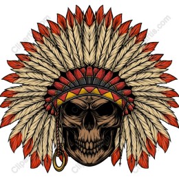 Skull Feather Headdress