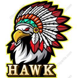Hawk Indian Chief