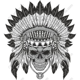 Native American Skull Headdress