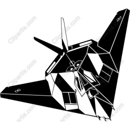 Stealth Aircraft