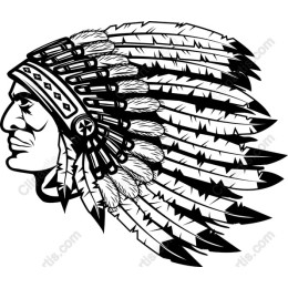 Majestic Native American Warrior