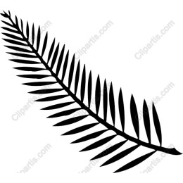 Elegant Fern Leaf