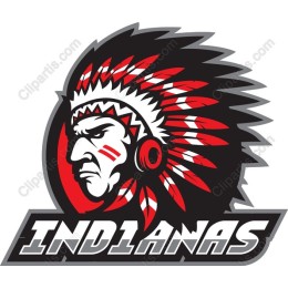 Indian Chief