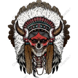 Skull with Native American Headdress