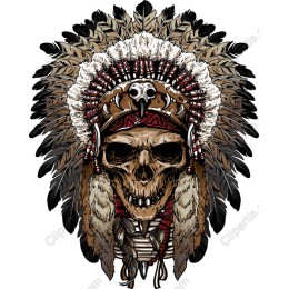 Skull with Native American Headdress