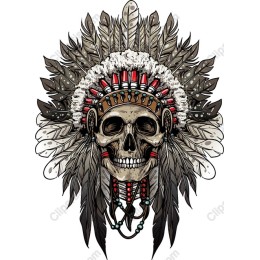 Native American Skull Headdress