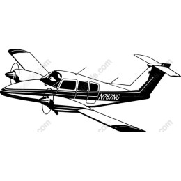 Elegant Twin-Engine Aircraft