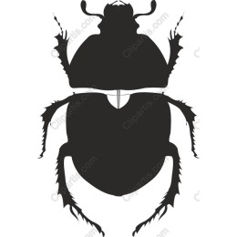 Stylized Beetle
