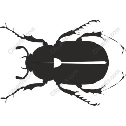 Beetle