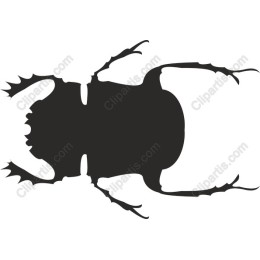 Stylized Beetle