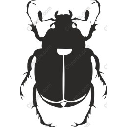 Intricate Beetle